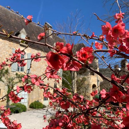 La Tour De Cause Bed & Breakfast Castelnaud La Chapelle Exterior foto