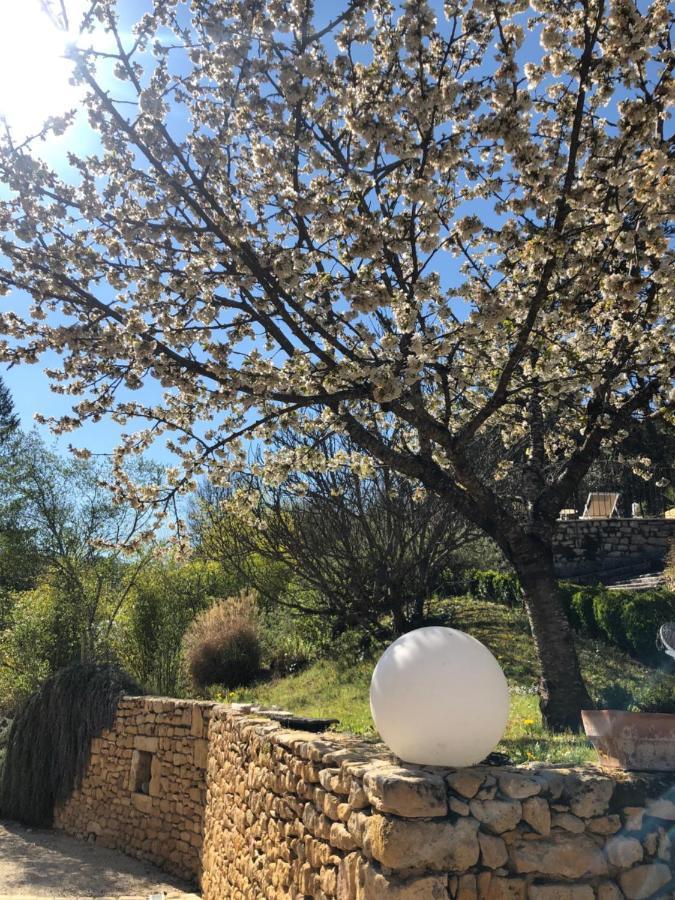 La Tour De Cause Bed & Breakfast Castelnaud La Chapelle Exterior foto