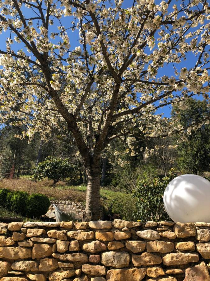 La Tour De Cause Bed & Breakfast Castelnaud La Chapelle Exterior foto