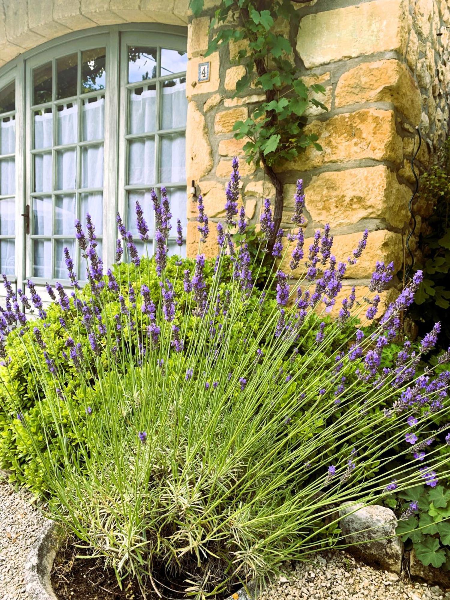 La Tour De Cause Bed & Breakfast Castelnaud La Chapelle Exterior foto
