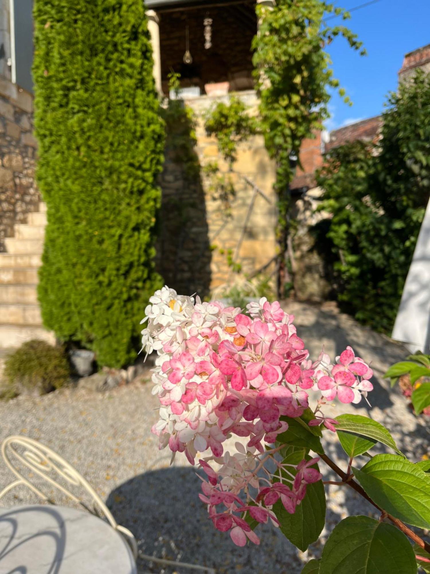 La Tour De Cause Bed & Breakfast Castelnaud La Chapelle Exterior foto