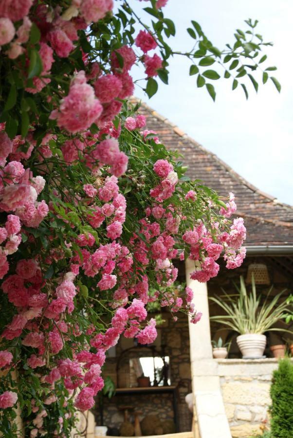 La Tour De Cause Bed & Breakfast Castelnaud La Chapelle Exterior foto